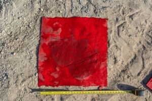 Seamless Slate Stamp for Rent in Nampa, Idaho